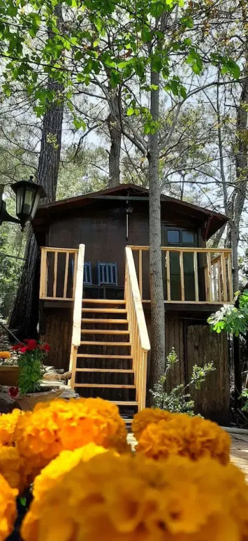 Altaris Bungalows Olympos
