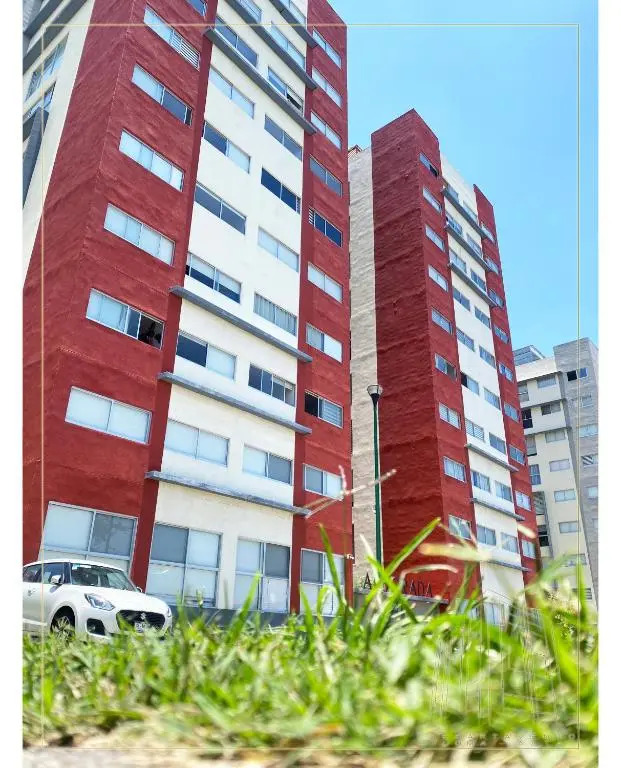 Departamento Loma-Alta