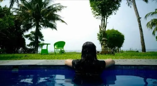 The Lily Pad