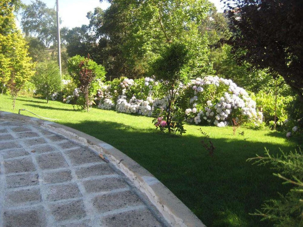 Villa With 6 Bedrooms in Castelo de Paiva, With Wonderful Mountain Vie