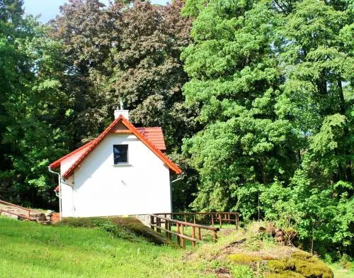 Wysoka 5