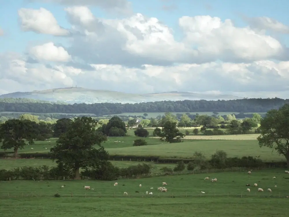 7 Gretton