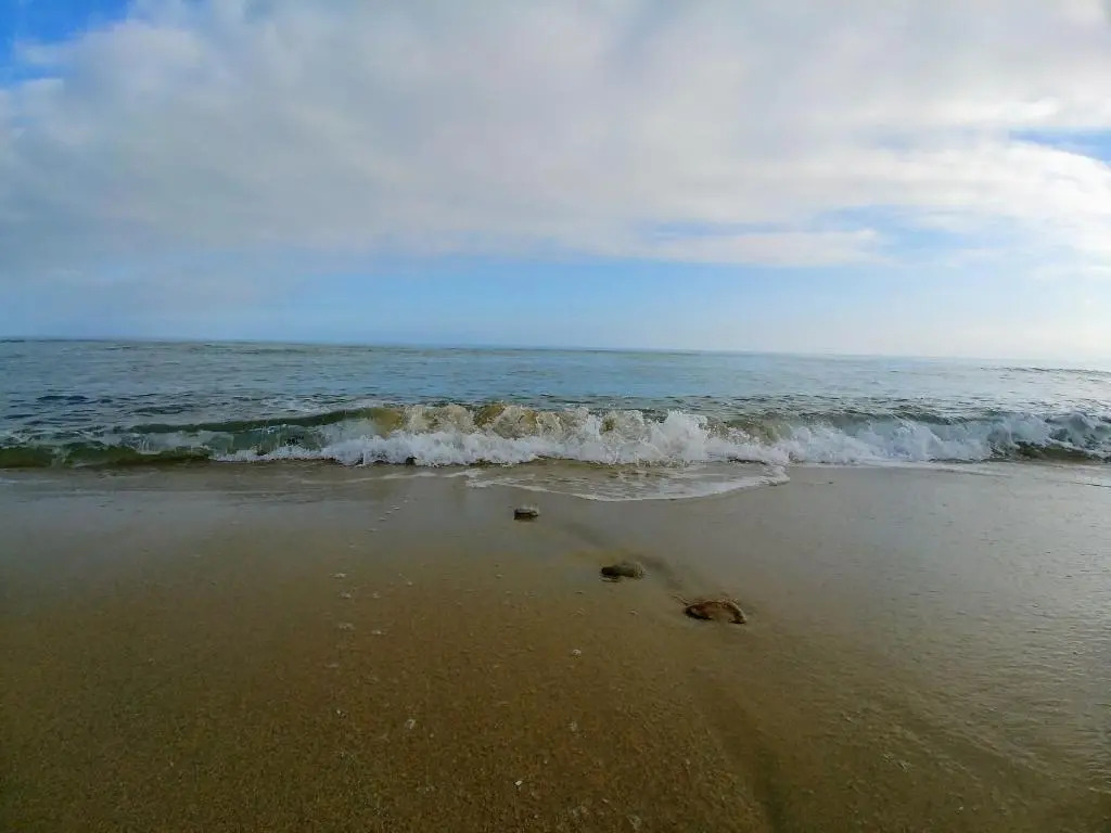 Seaview Home
