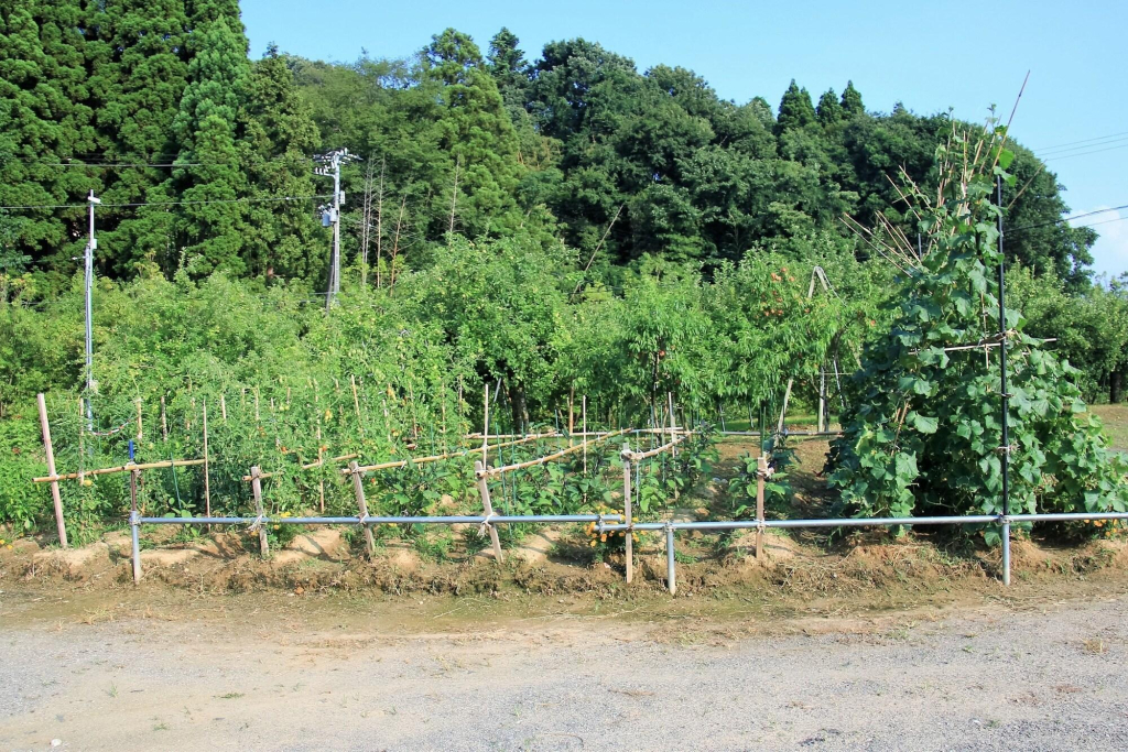 湯の里いけもり別館 天座