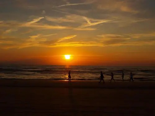 Divi Divi Zandvoort