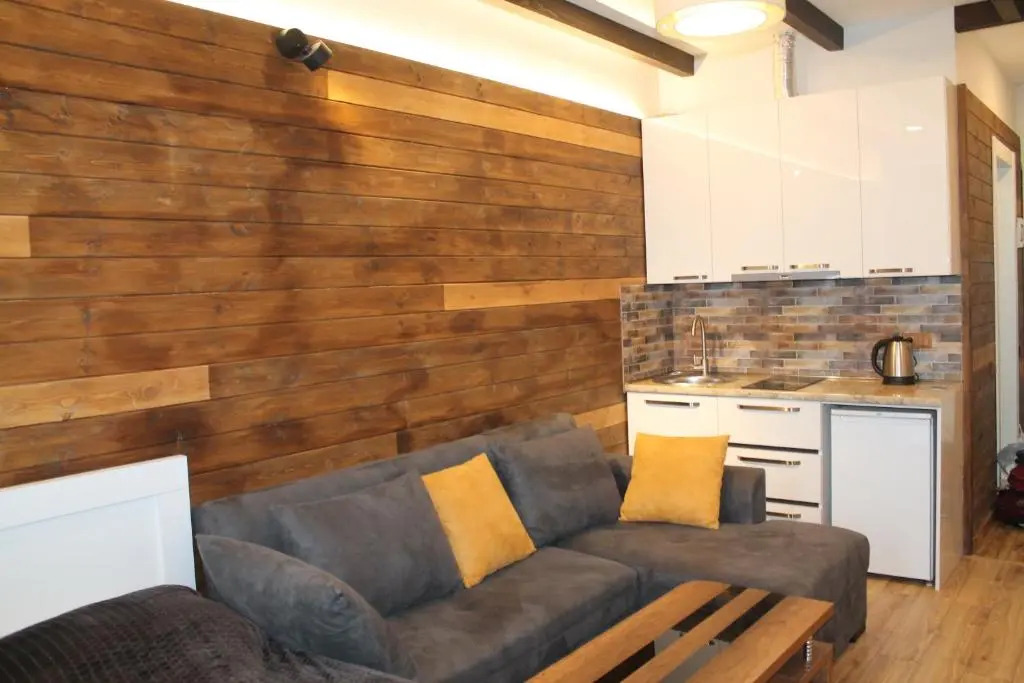 Cozy Apartment Near Gondola loft1