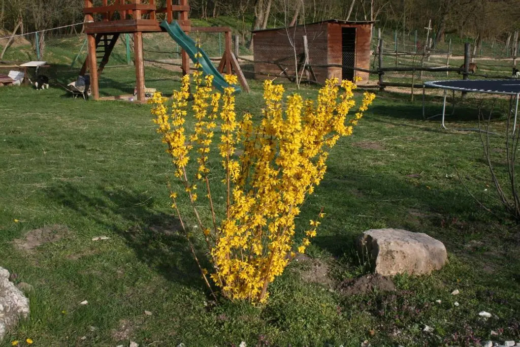 Malomdűlő Farmház