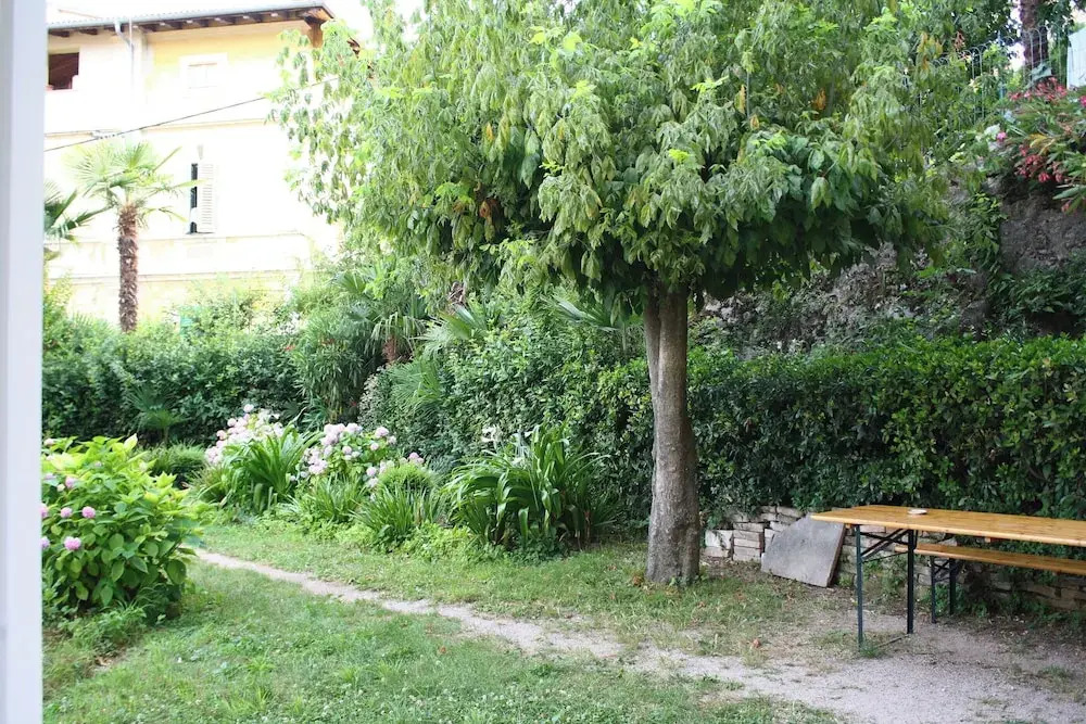 Apartments Rezine