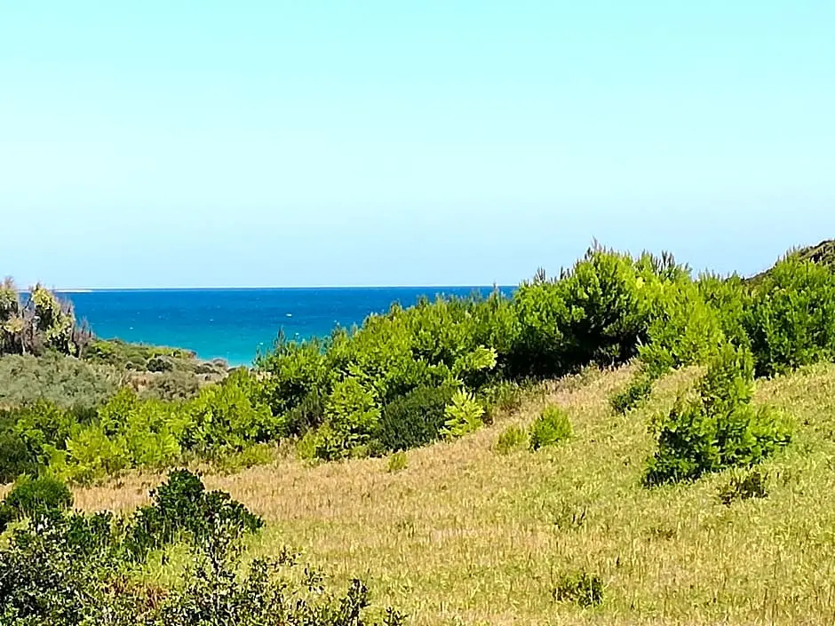 Masseria Monache
