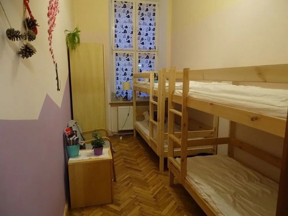 Cat Hostel Krakow