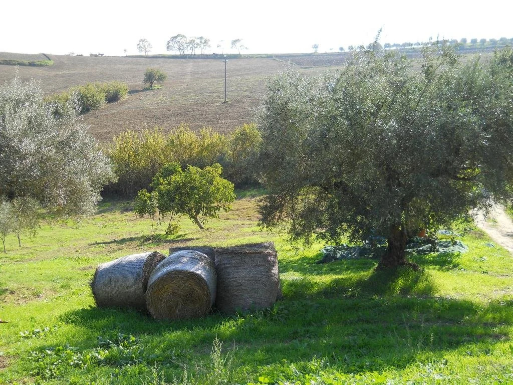 Mandria Del Dottore Toscano