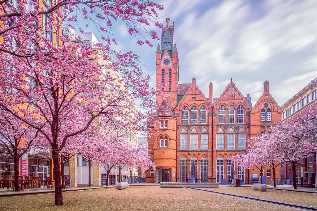 Beautiful City Centre Suite - Secure Parking - China Town - Top Rated