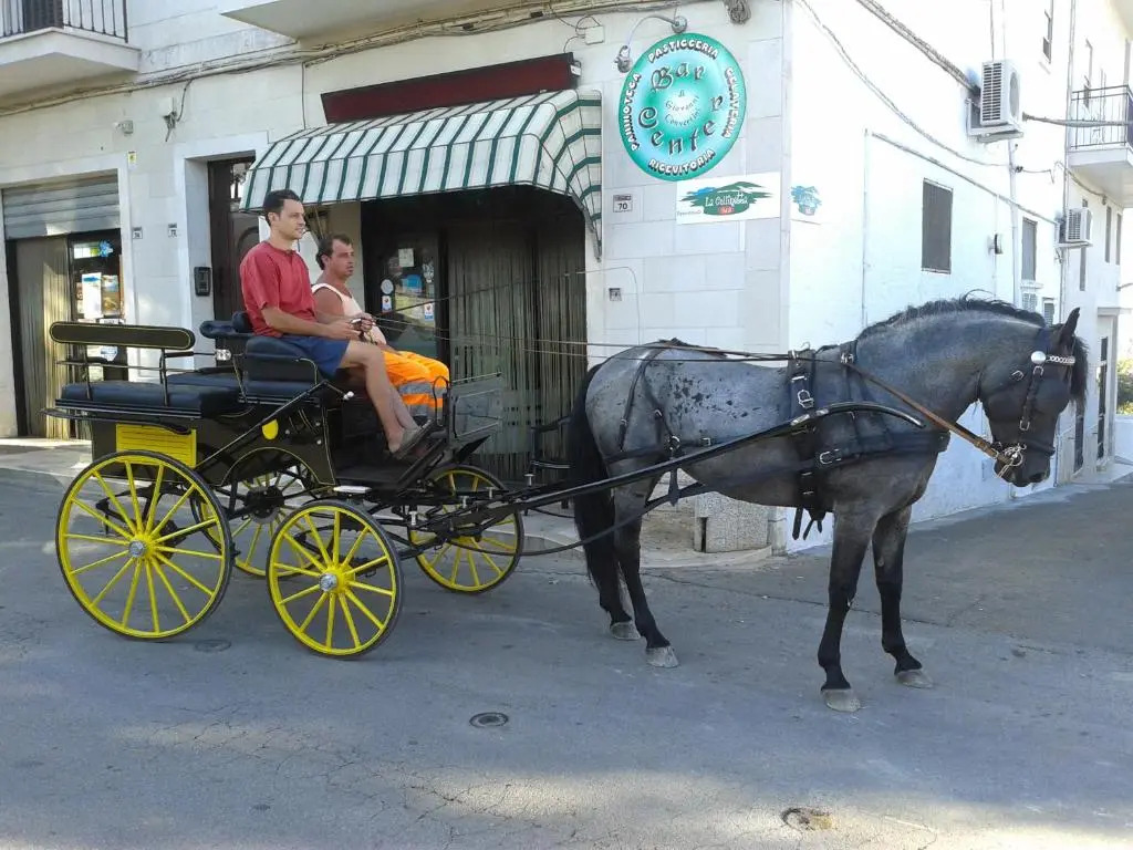 Bed & Breakfast La Collinetta