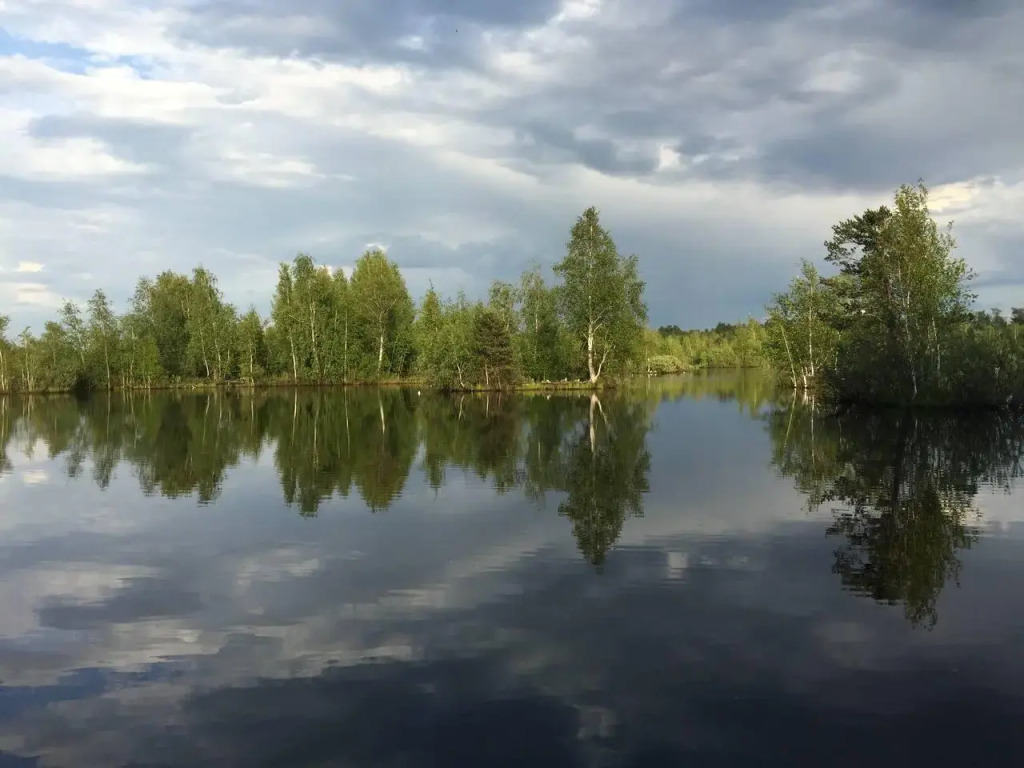 Relax Villas Villa (Релакс Виллы Вилла)