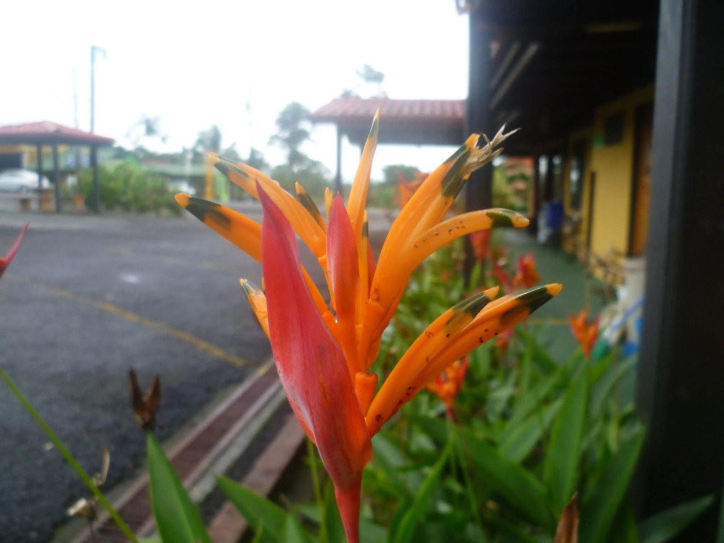 Hotel Destinos Arenal