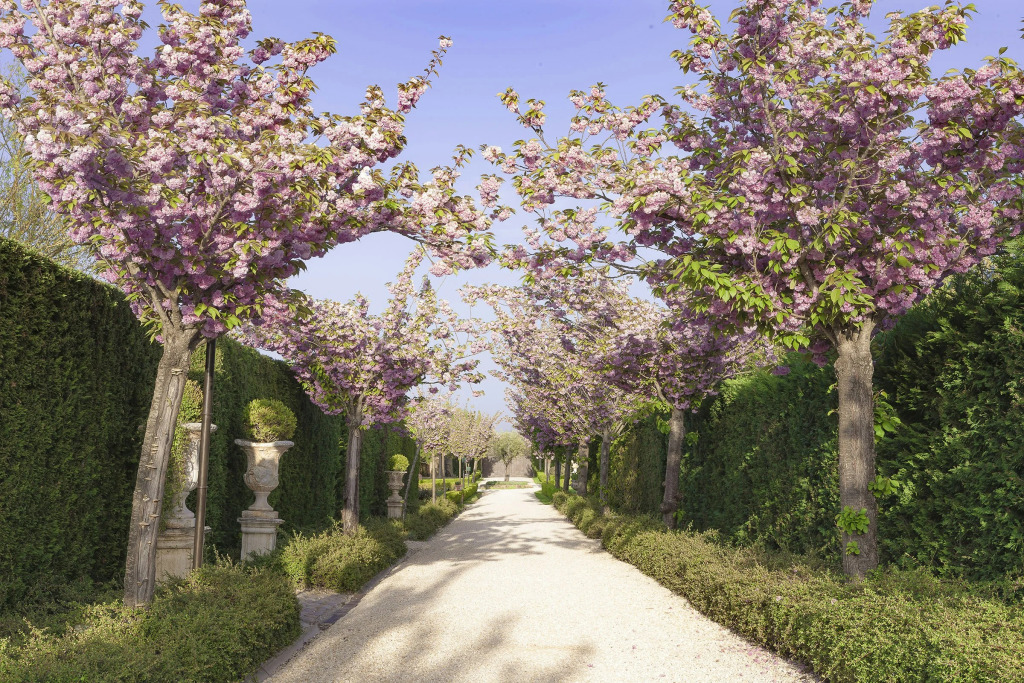 Borgo Santo Pietro