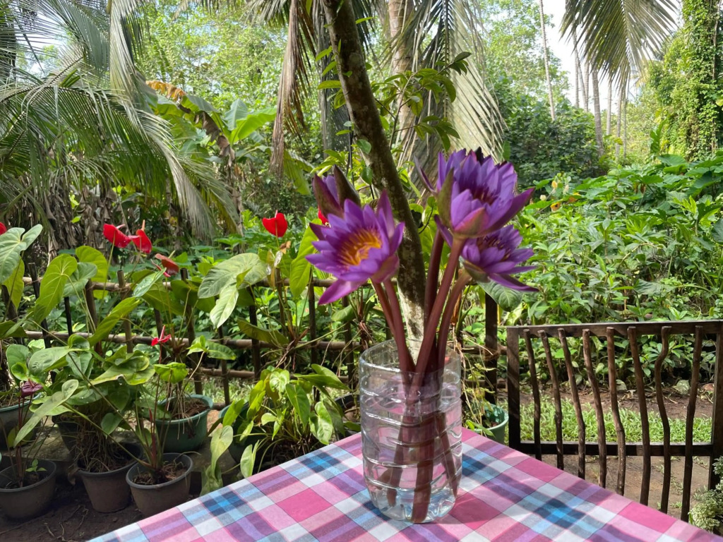 Sun & Tree HomeStay