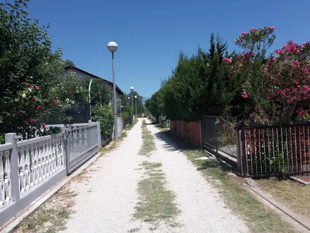 Apartman Nin-Dodo