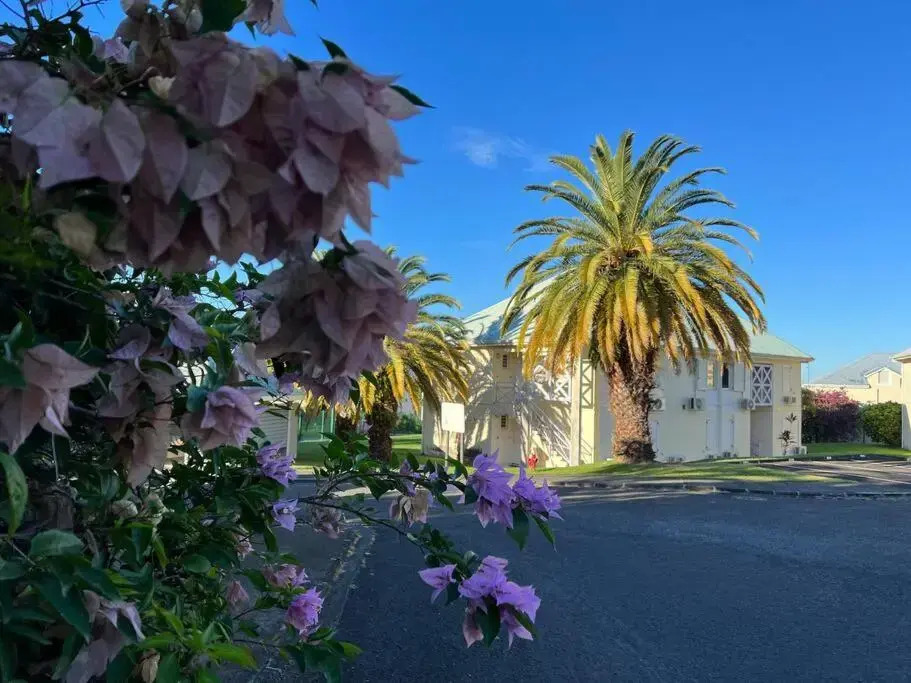 Zabana Lodge, dans un jardin tropical avec piscine
