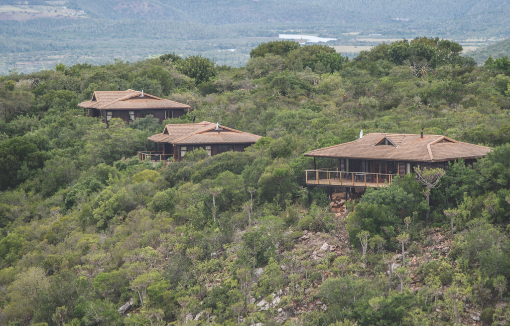 Kariega Game Reserve