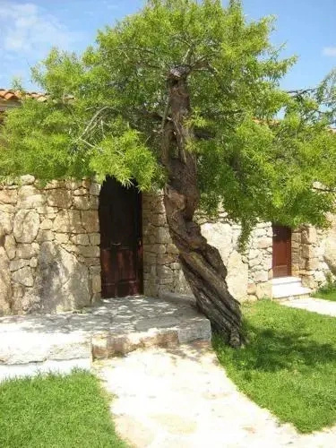 L Incantu