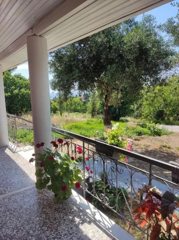 Marie-Angela HOUSE ARILLAS
