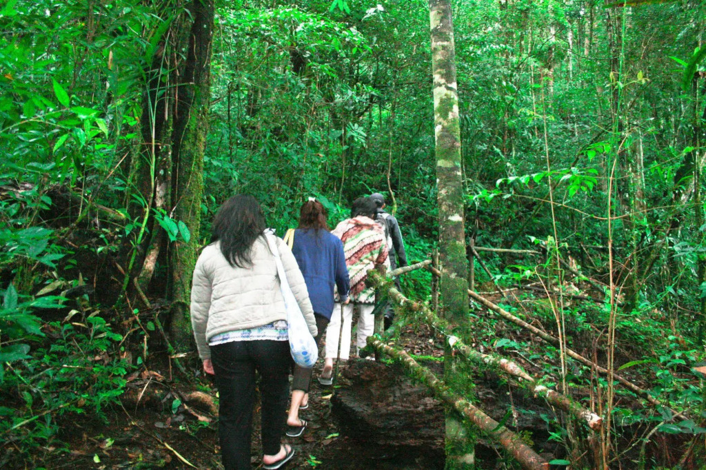 Taman Simalem Resort