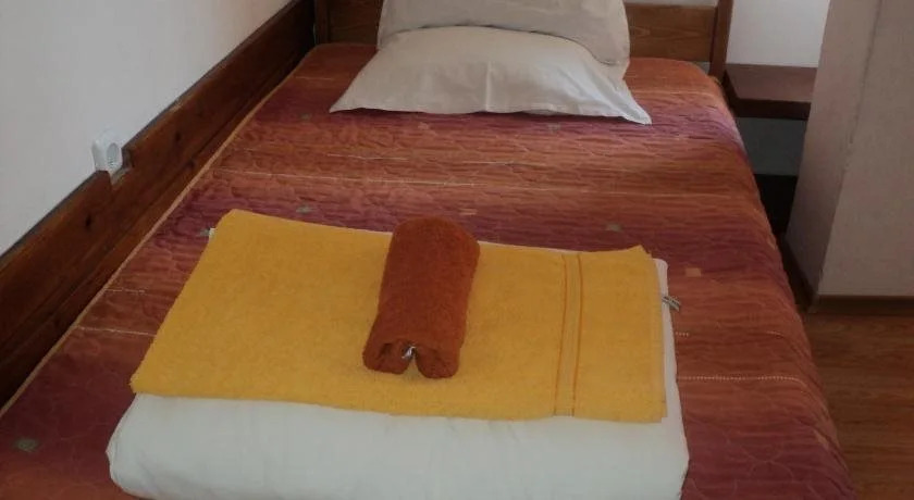 Hotel Alpin - 91 Bansko