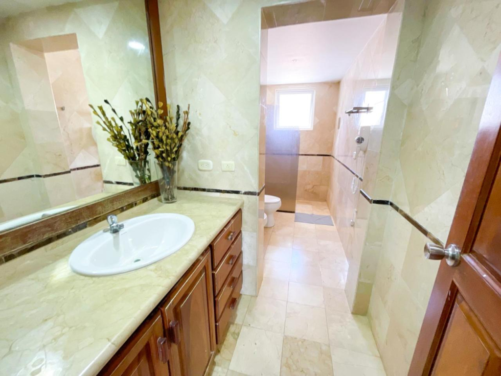 Palmera Penthouse - Scv 103881