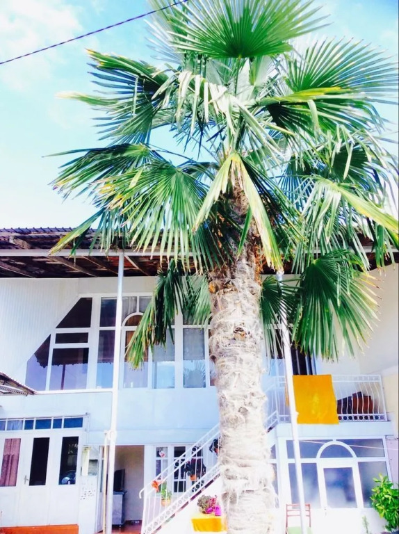 Отель Hause on Ashiq Cuma steet 8