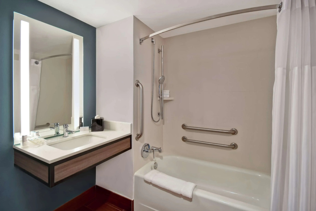 Hilton Garden Inn Houston/Galleria Area