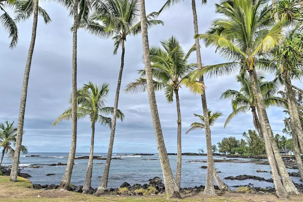 Hilo Oasis - 32 Mi to Volcanoes National Park!