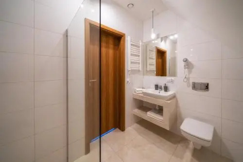 PRZY TERMACH apartamenty, pokoje - podgrzewany basen, hydromasaż i tylko 70m Termy