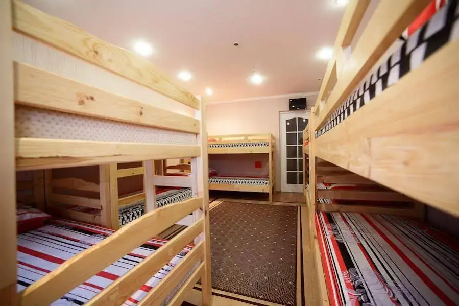VIVA hostel 
