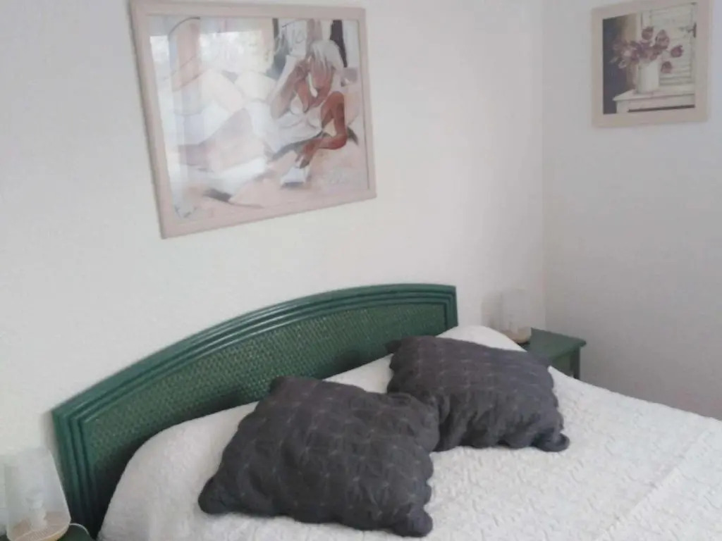 Appartement Cap d'Agde, 2 pièces, 4 personnes - FR-1-607-116