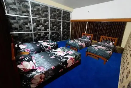 Hostel Bagpack Village