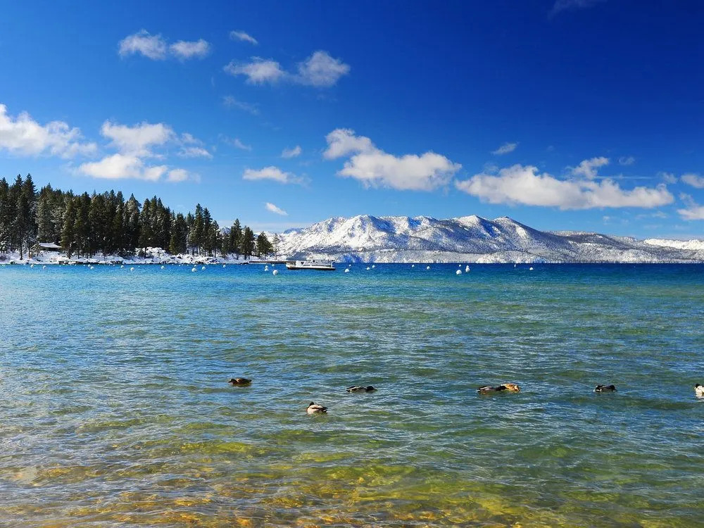 Brand New South Lake Tahoe Cabin by RedAwning