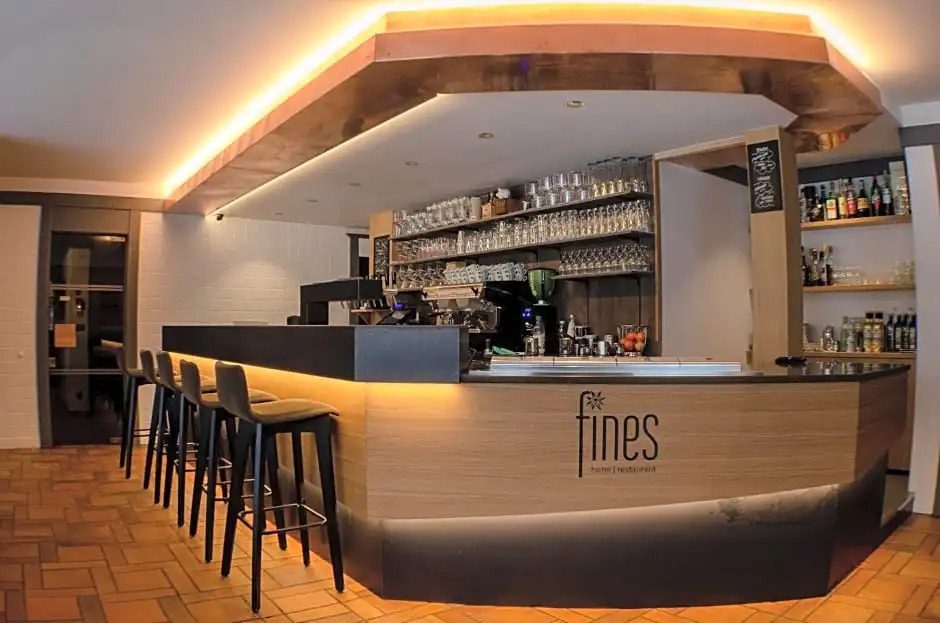 Hotel Fines