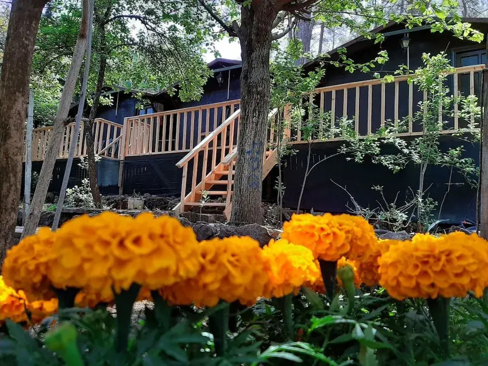 Altaris Bungalows Olympos
