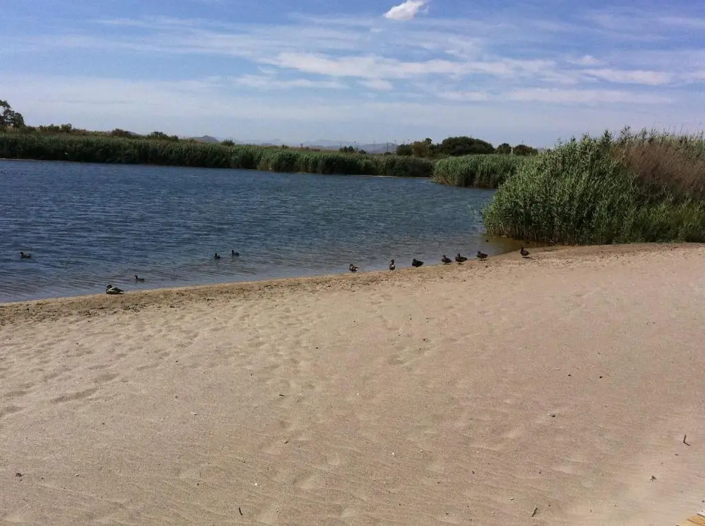 Apartamento VenAVera Playa - Playas del Sur P5-0C Bajo WIFI