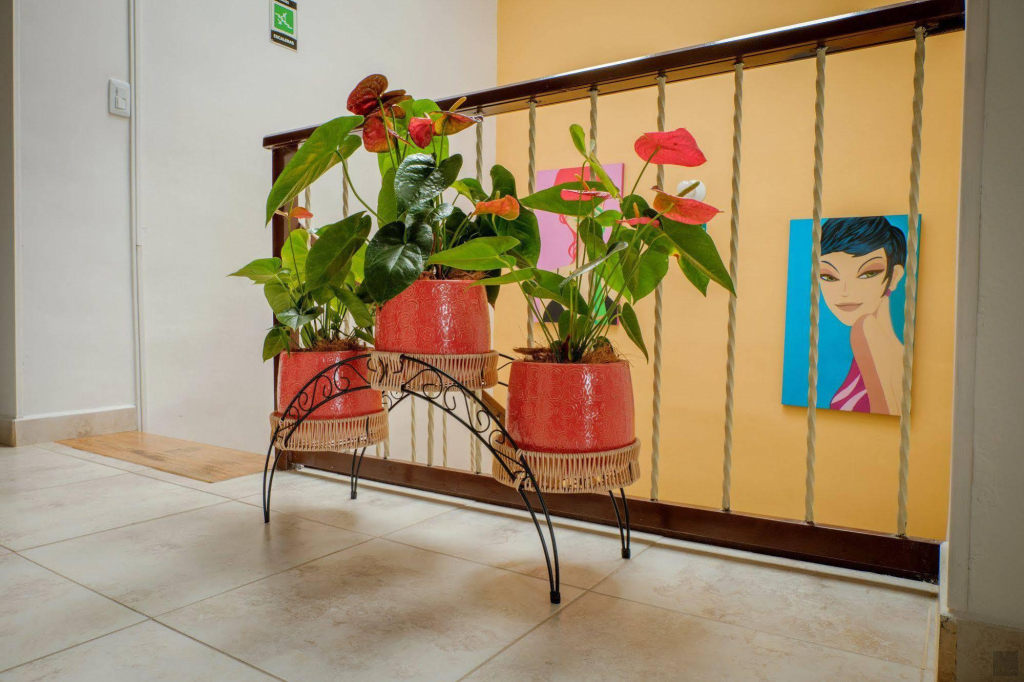 Casa Borbon