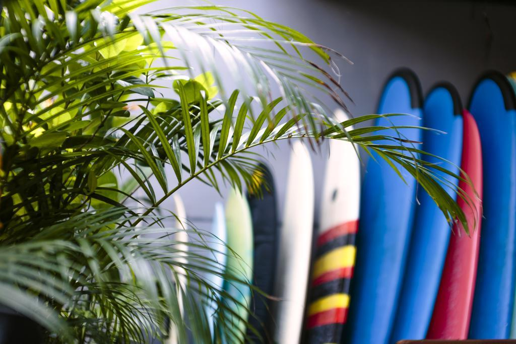 Surfers House