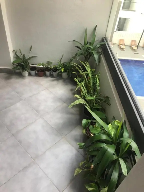 Appartement Miramar