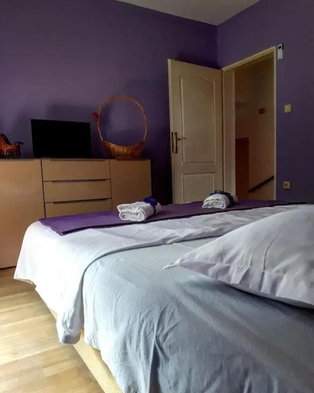 Apartments Vitic