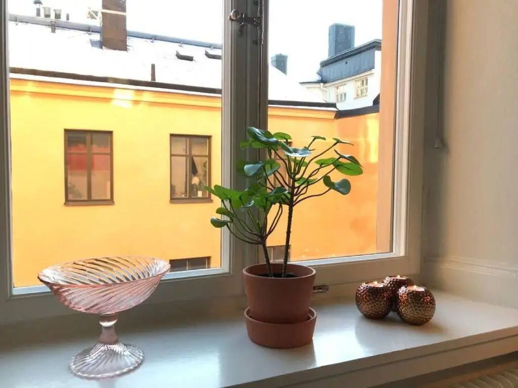 Bohemian and light one room apartment in SoFo 31sqm