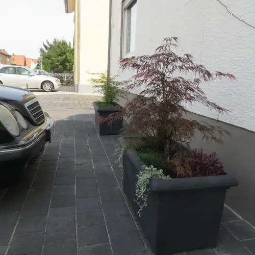 Spira House
