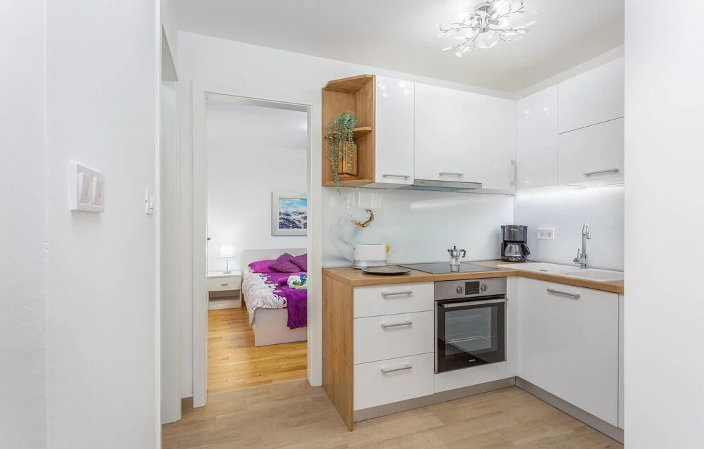 Amazing Apartment in Vantacici With Wifi and 1 Bedrooms