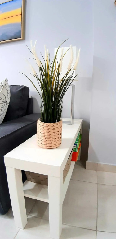 Cozy apartament in the heart of Santa Cruz
