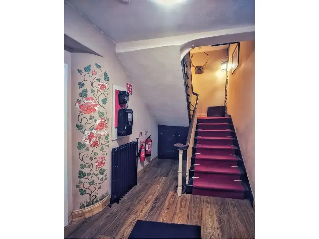 The Black Sheep Hostel