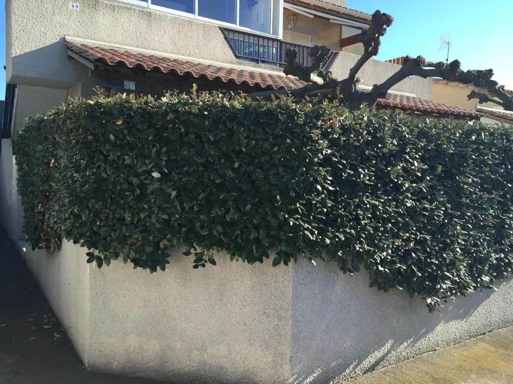 Languedoc Immobilier Appartement Mezzanine Parking Privé Piscine - Ca58